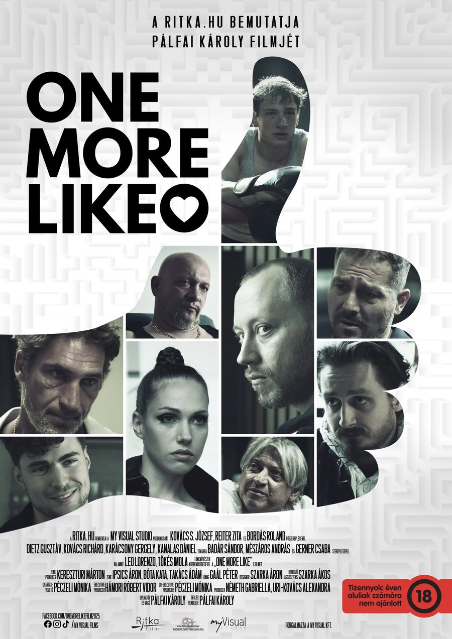 One More Like poster